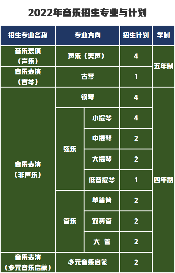 音乐表演类招生计划