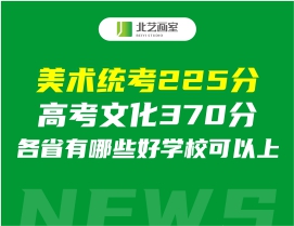 美术统考225分高考文化370分，各省有哪些好学校可以上