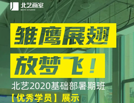 雏鹰展翅放梦飞！北艺2020基础部暑期班【优秀学员】展示