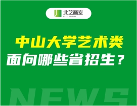 中山大学艺术类面向哪些省招生？有湖北吗