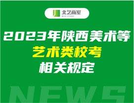 2023年陕西美术等艺术类校考相关规定