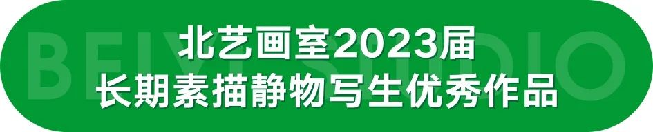 北艺画室2023届学员素描静物写生作品（六）